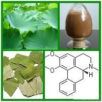 荷葉提取物 源自中國(guó)甘肅蘭州的天然植物精華